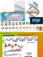 Bab 3 SUBSTANSI GENETIKA1