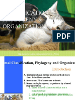 Animal Classification, Phylogeny & Organization
