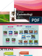 Praktikum Entomologi