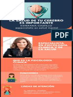 Infografia Electiva