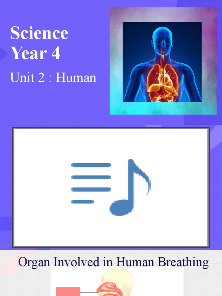 Science Year 4 Human Breathing Process Pdf