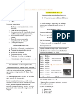 Odontopediatria Resumo