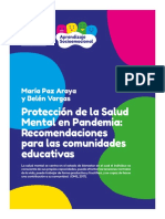 Protección de La Salud Mental en Pandemia