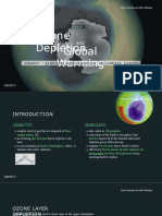 Ozone Layer and Global Warming