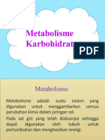 4.4.1. Metabolisme Karbohidrat