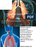 Sistemul Respirator