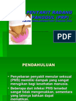 Penyakit Radang Panggul (PRP)