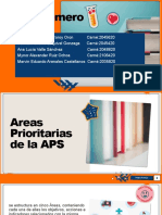 Areas Prioritarias en Aps