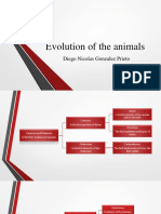 Evolution of The Animals: Diego Nicolas Gonzalez Prieto