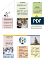 Folleto Correcta Ejecucion Presupuestal