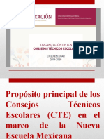 Presentación - Organizacion CTE