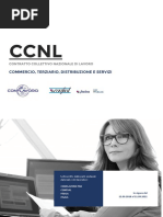 Ccnl Commercio Terziario Distribuzione e Servizi
