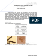 Truffle - Resume Matakuliah Interaksi Tanaman Dan Mikroba - Chandra Jinata (10406014) Dan Adhityo Wicaksono (10607032)