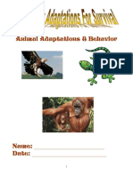 Animal Adaptations