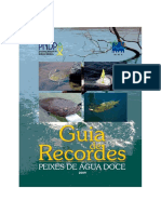 Guia Recordes01