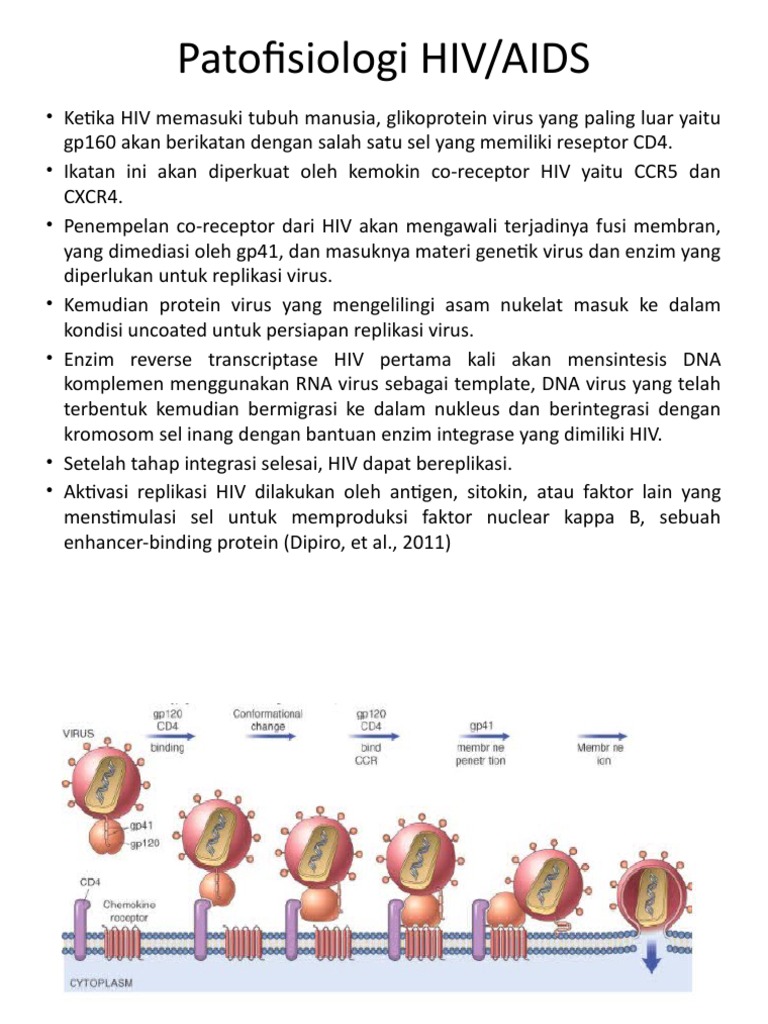 Patofisiologi HIV, Manifestasi DN Penatalaksanaan | PDF