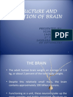 Brain Function