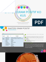 Bakteri Gram Positif Kokus