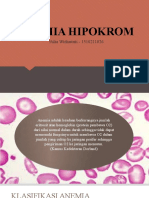 Anemia Hipokrom