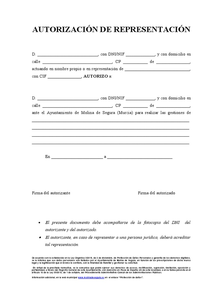 Modelo Autorizacion Representacion | PDF