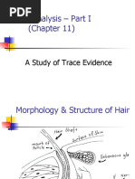 Forensic Hair Evidence Collection Guide | PDF | Hair | Crime Scene