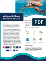 All-Atlantic Ocean Research Alliance: What Is It? Why Do We Need It?