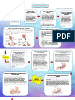 Skema Proses Pencernaan