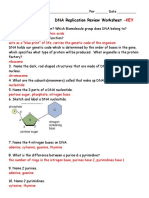 DNA Replication Review Worksheet