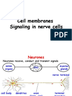 2011 Cell Membranes - Signaling in Nerve Cells