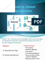 Asexual vs Sexual Reproduction