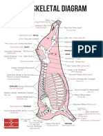 Beef Skeletal