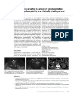 Sonographic Diagnosis of Emphysematous