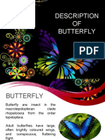 Tugas Zifa_Butterfly