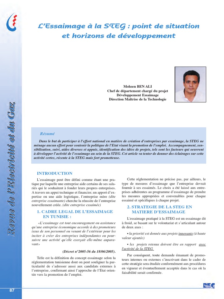 Essaimage à la STEG : Stratégies et Aides | PDF | Sociétés | Tunisie