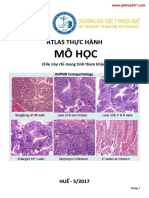 Atlas Thực Hành Mô Học