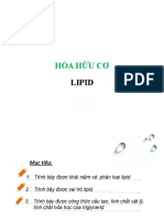 Hóa học Lipid (HAIVN K41)