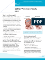Prenatal Counseling: Ventriculomegaly: and Hydrocephalus