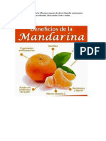 Mandarina 1 20