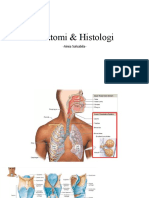 Histologi Laringks dan Trakea