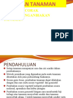 Modul PemTan 2