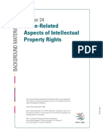 7.trade Related Aspects of Intellectul Property Rights