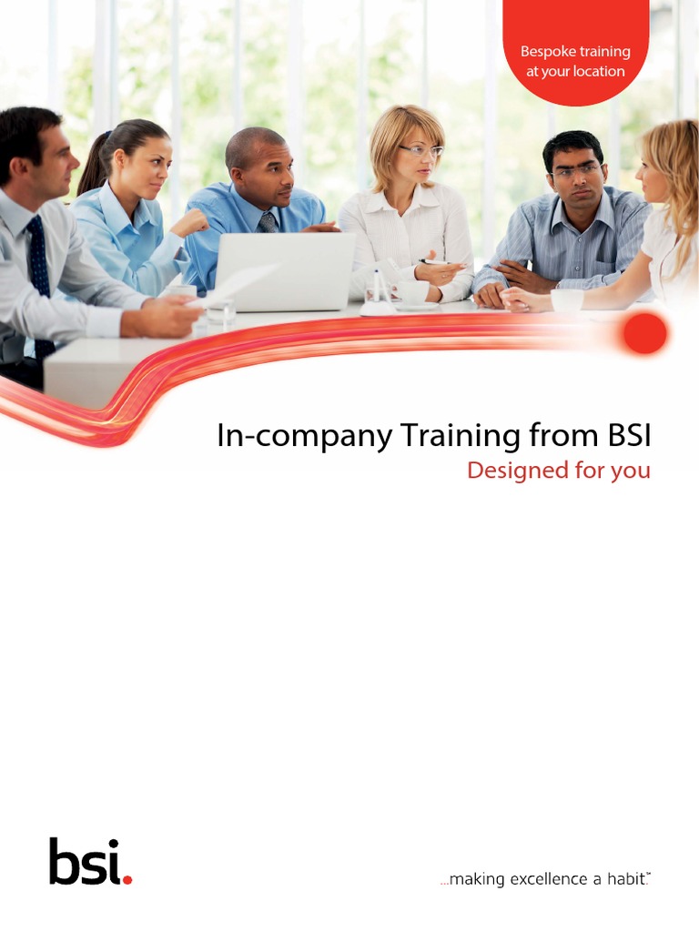 BSI in Company Bro EN | PDF | Economies | Business