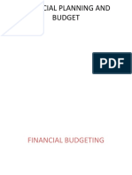 Financial Planning and Budget