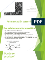 Fermentación Anaeróbia