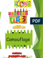 CAMOUFLAGE - 16-11-2020