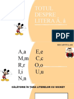 Totul Despre Litera Â, Â