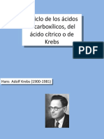 El Ciclo de Krebs