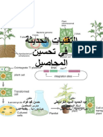 التقنيات الحديثة فى تحسين المحاصيل