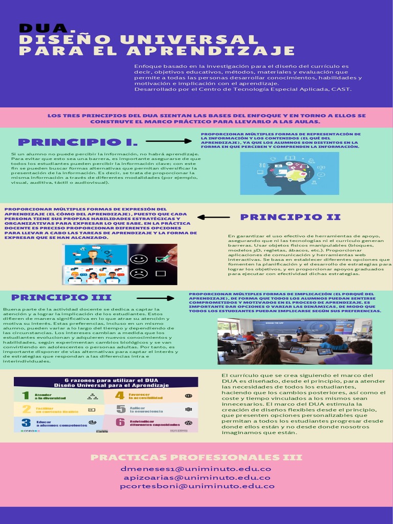 Principios del Diseño Universal para el Aprendizaje | PDF | Plan de ...
