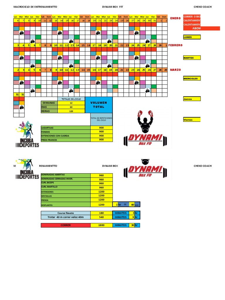 ciclo-de-entrenamiento-de-boxeo-pdf-violencia